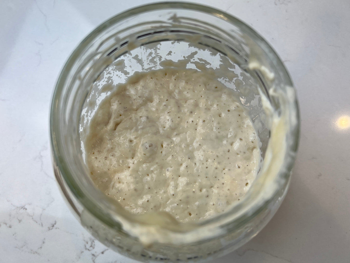 Sourdough Starter
