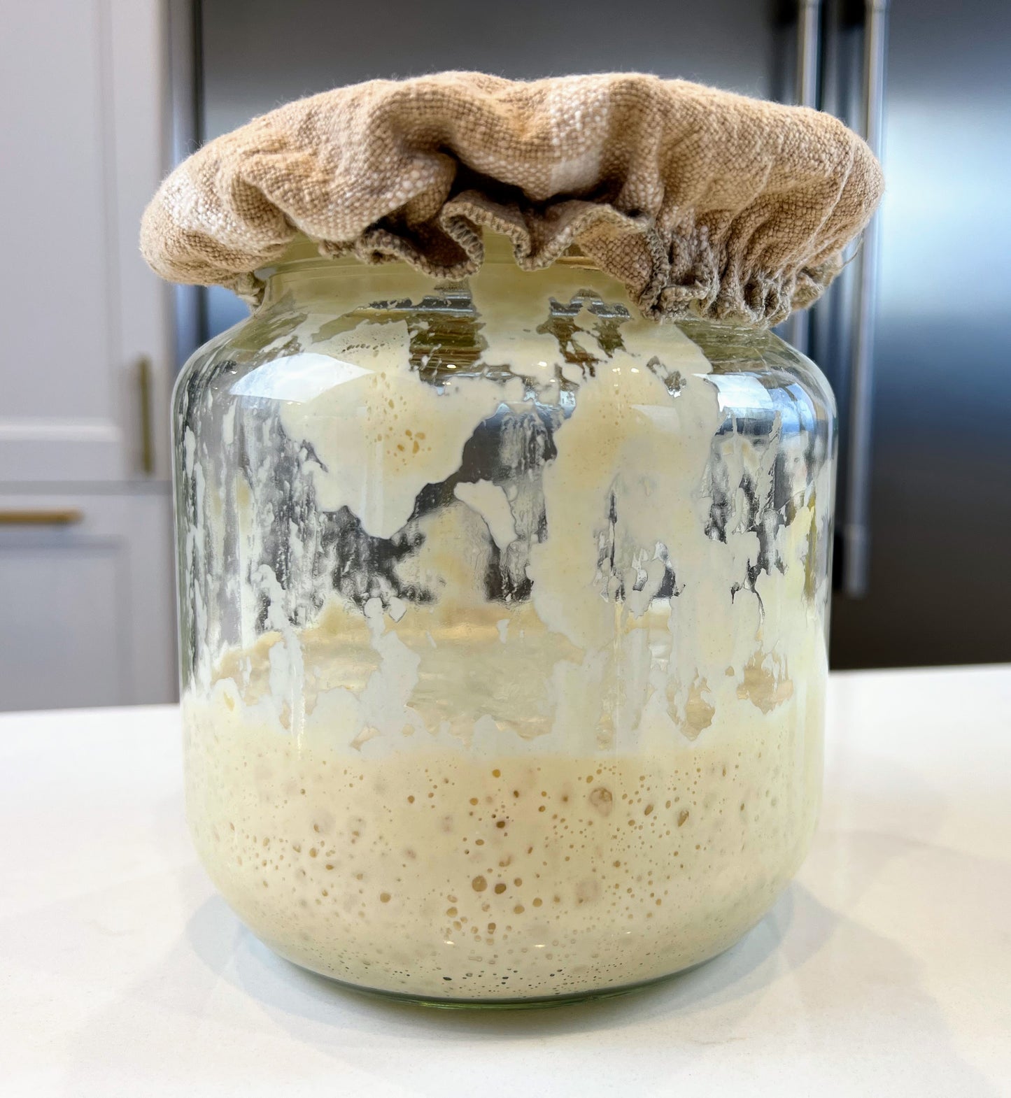 Sourdough Starter